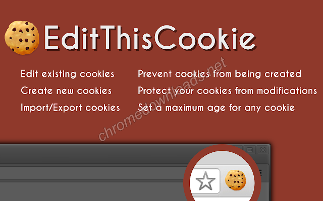 EditThisCookie 针对Google Chrome浏览器的第一个cookie管理器介绍图2