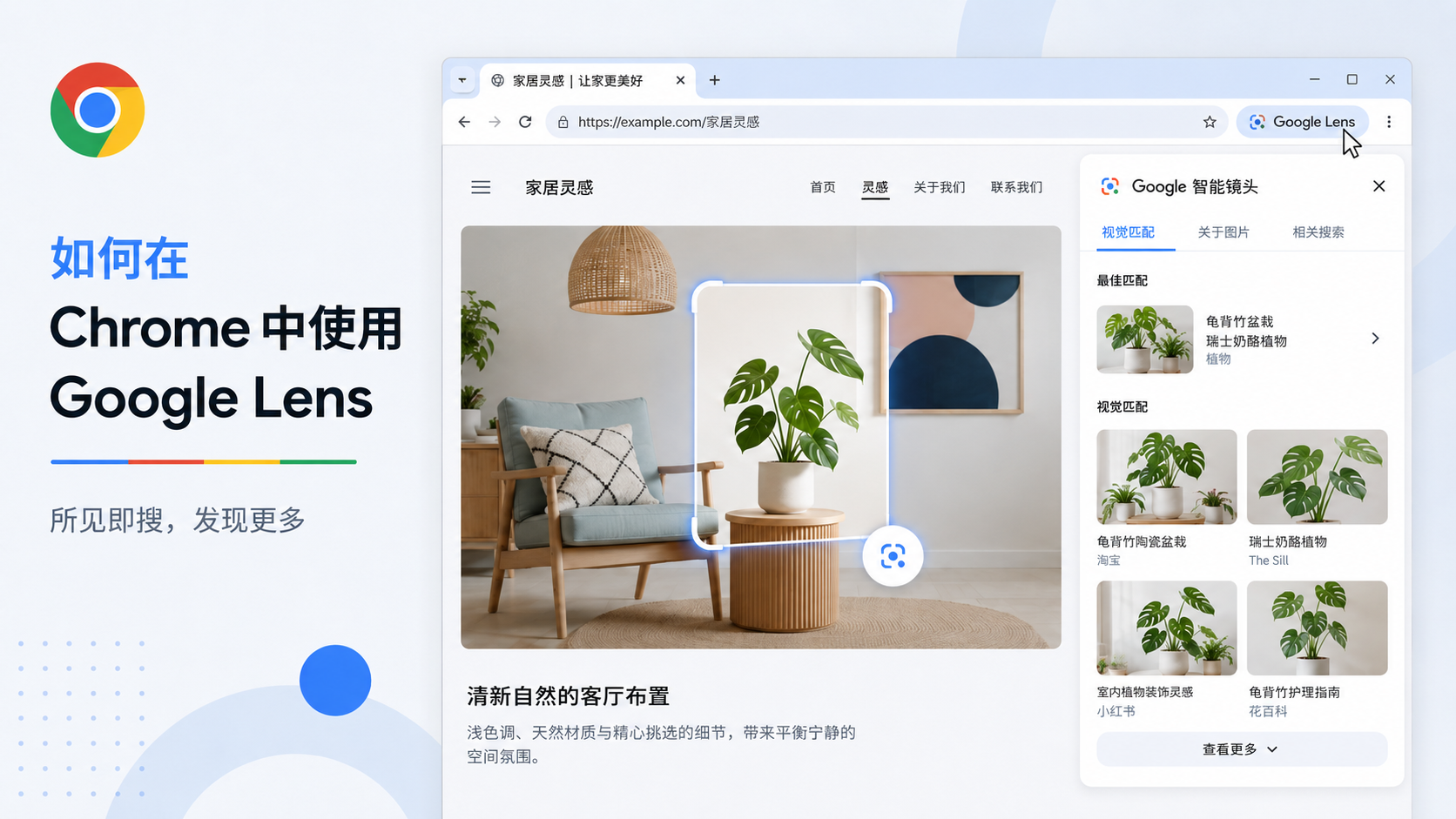 Chrome 里的 Google Lens:说不出名字?直接圈出来搜