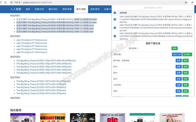 百度网盘离线下载助手 一键批量添加百度离线下载介绍图4