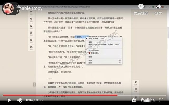 Enable Copy 解除复制粘贴被禁用 自由复制拒绝右键被禁用介绍图1