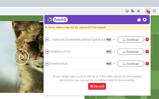 FetchV - Video Downloader for m3u8 & hls Chrome插件下载 视频下载工具介绍图3