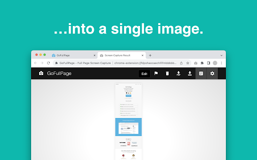 GoFullPage 插件预览图1