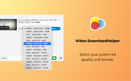 Video DownloadHelper 插件预览图4
