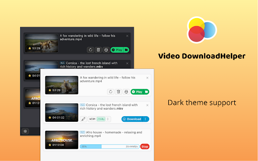 Video DownloadHelper 插件预览图5